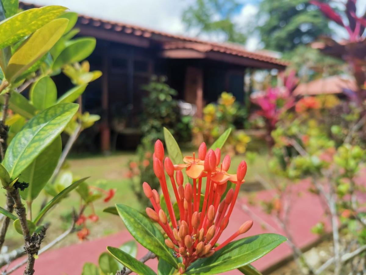 Hotel Canto De Ballenas Uvita Zewnętrze zdjęcie