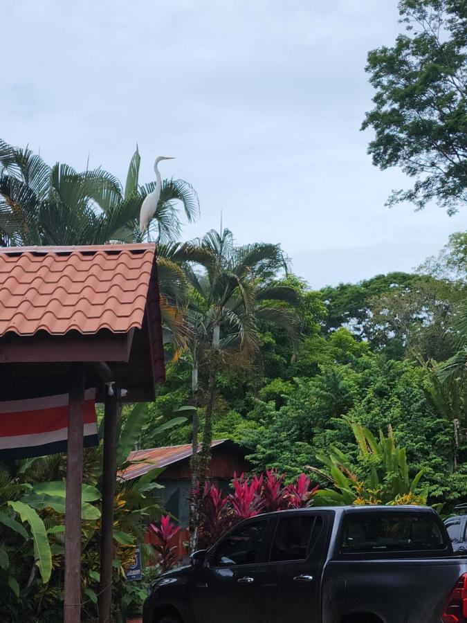 Hotel Canto De Ballenas Uvita Zewnętrze zdjęcie