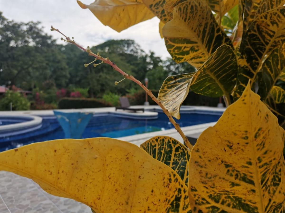Hotel Canto De Ballenas Uvita Zewnętrze zdjęcie